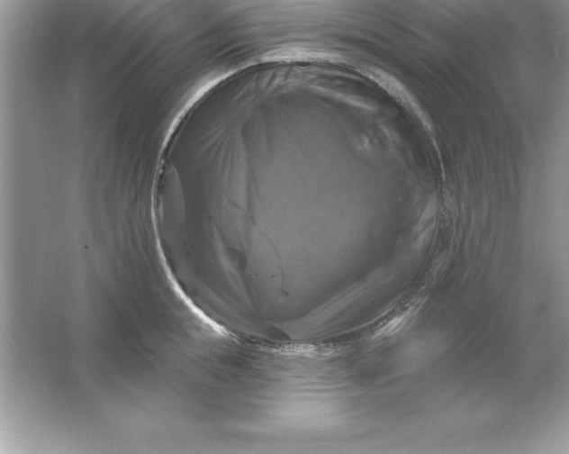 X0000061750855200512161715