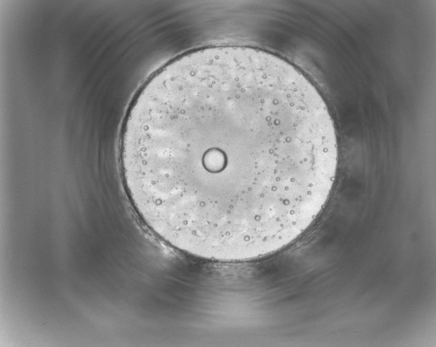 X0000061750856200512161715