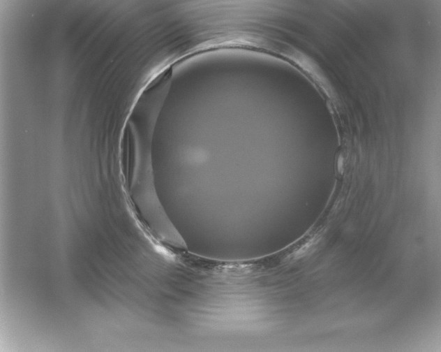 X0000061750858200512161715