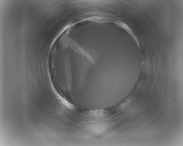 X0000061750859200512161715