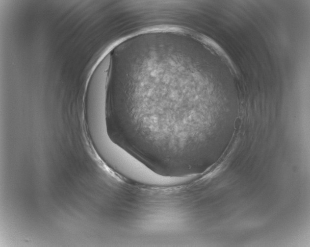 X0000061750860200512161715