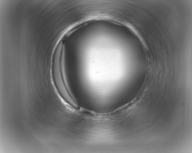 X0000061750861200512161715