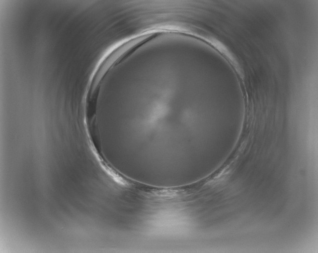 X0000061750862200512161715