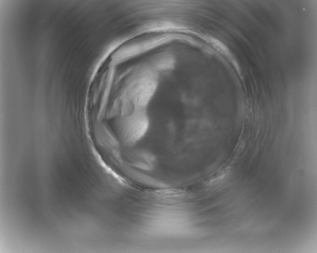 X0000061750863200512161715