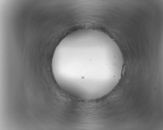 X0000061750865200512161714