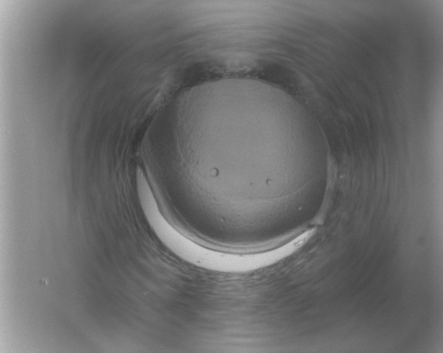 X0000061750866200512161714