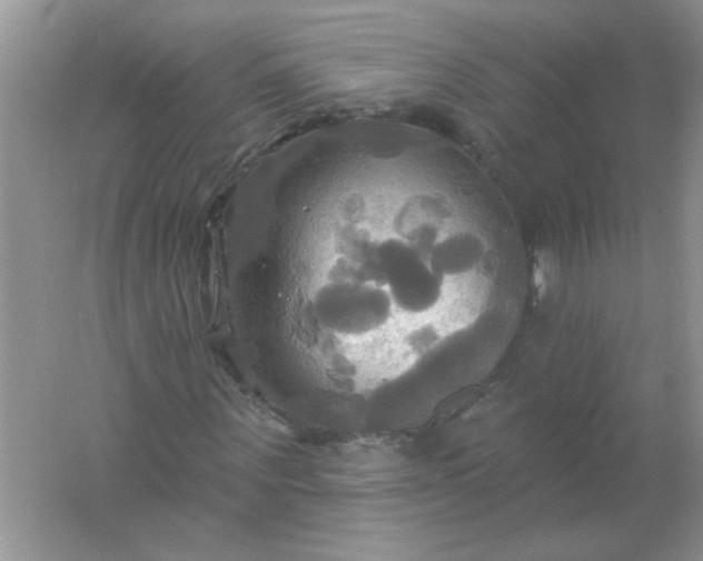 X0000061750867200512161714