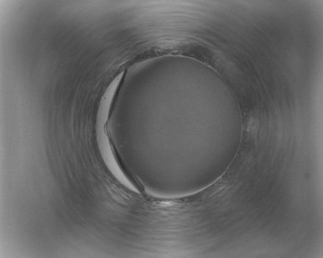 X0000061750868200512161714