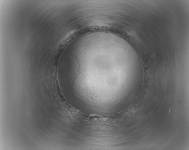 X0000061750870200512161714