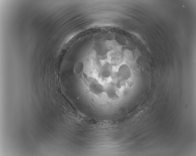 X0000061750871200512161714