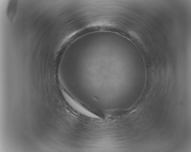 X0000061750872200512161714