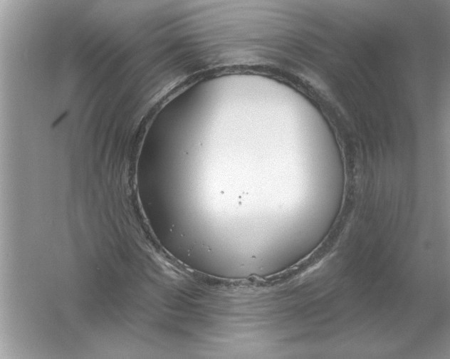 X0000061750873200512161714