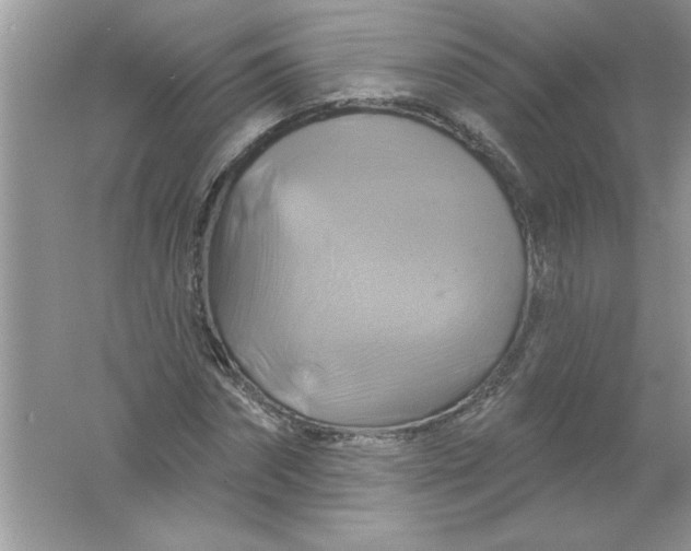 X0000061750874200512161714