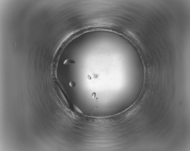 X0000061750875200512161714