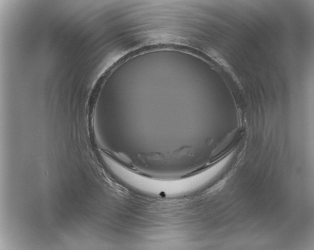 X0000061750877200512161714