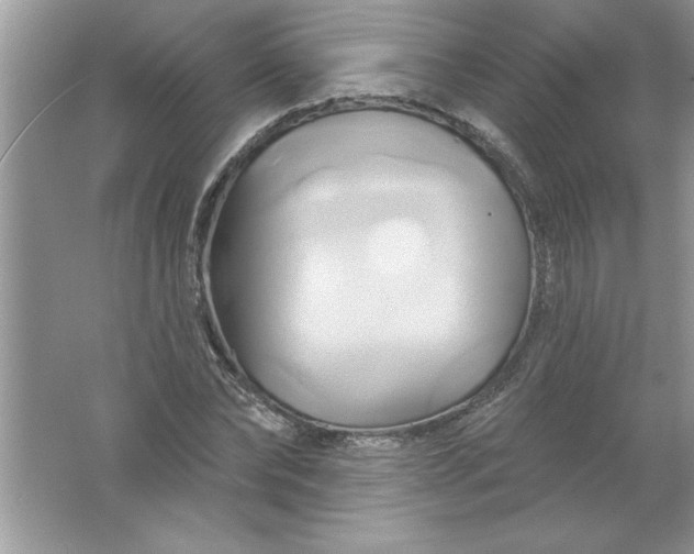 X0000061750878200512161714