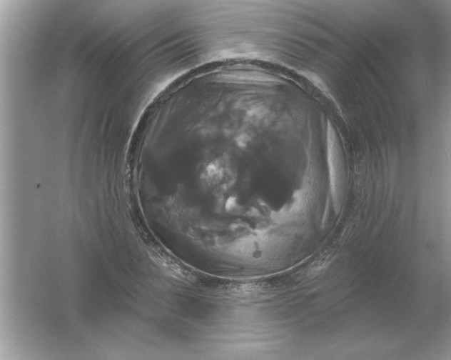 X0000061750879200512161714