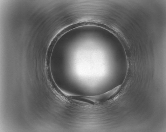 X0000061750880200512161714