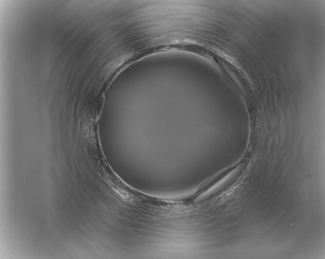 X0000061750881200512161714