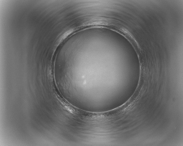 X0000061750882200512161714