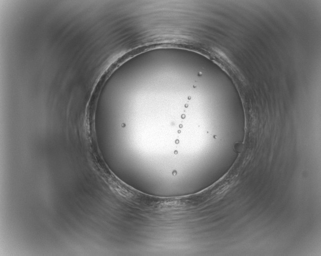 X0000061750883200512161714