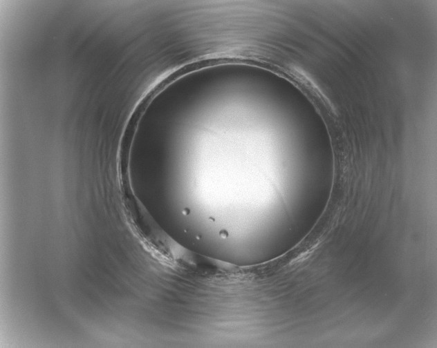 X0000061750884200512161714