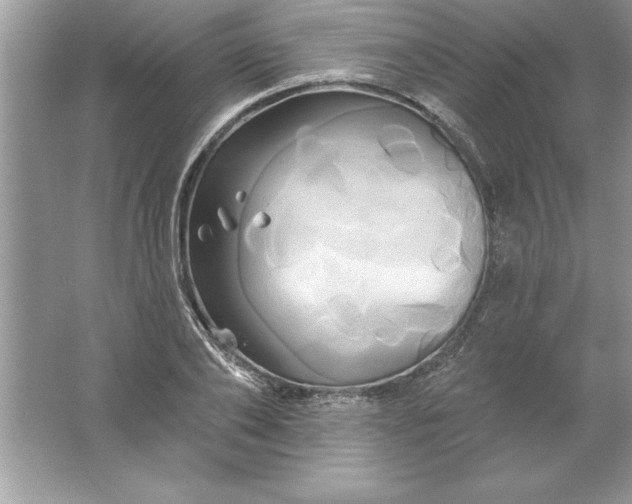 X0000061750886200512161714