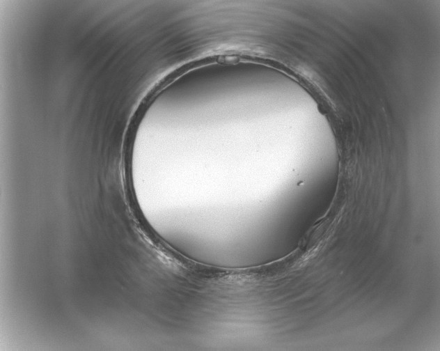 X0000061750888200512161714