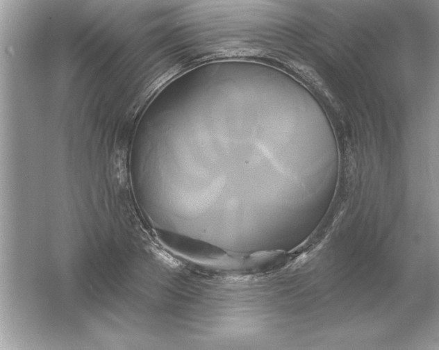 X0000061750889200512161714