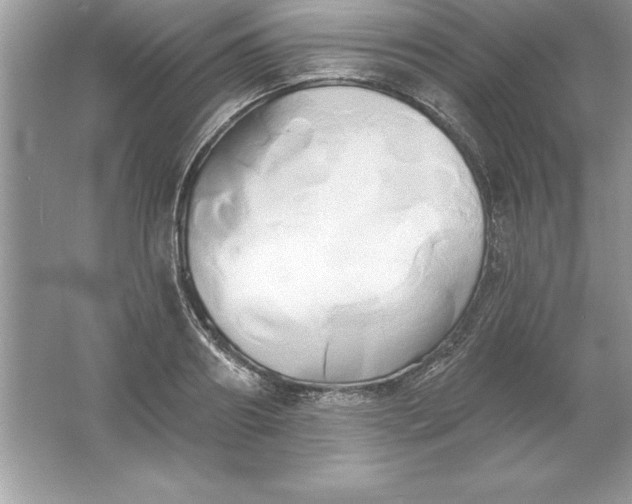 X0000061750890200512161714