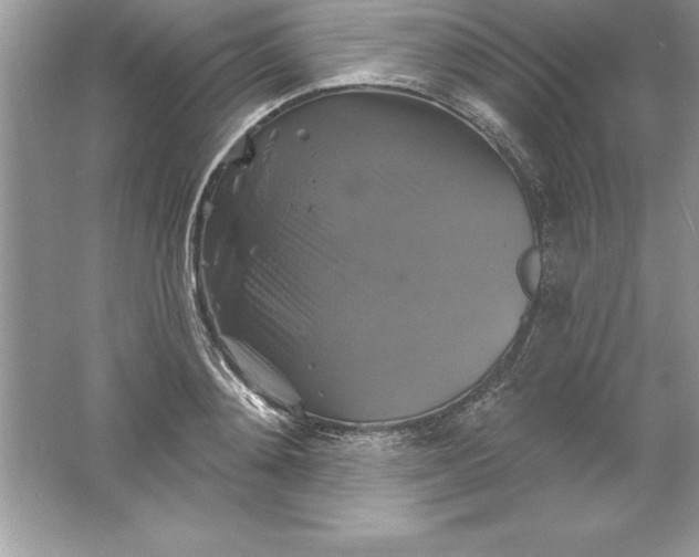 X0000061750892200512161714