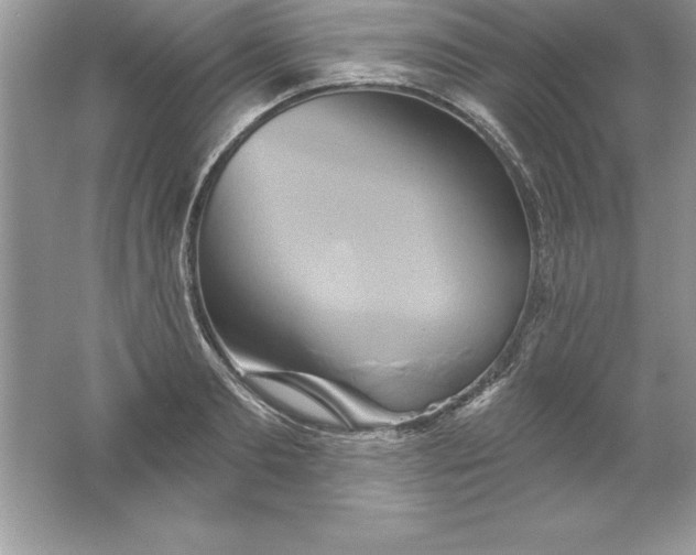 X0000061750893200512161714