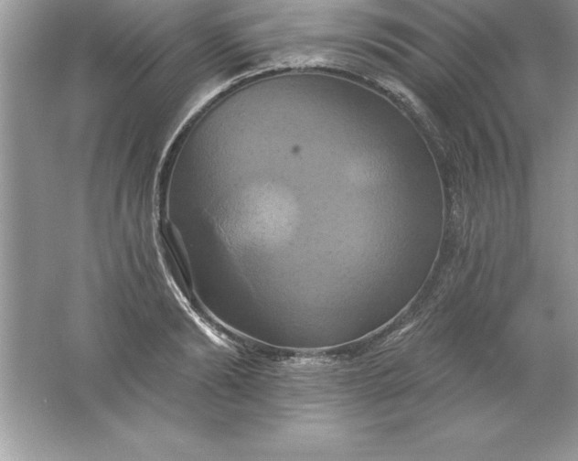 X0000061750894200512161714