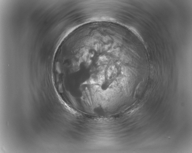 X0000061750895200512161714