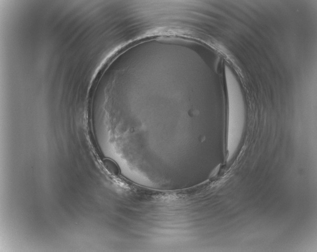 X0000061750896200512161713