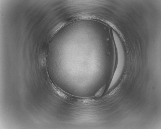 X0000061750897200512161713