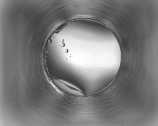 X0000061750898200512161713