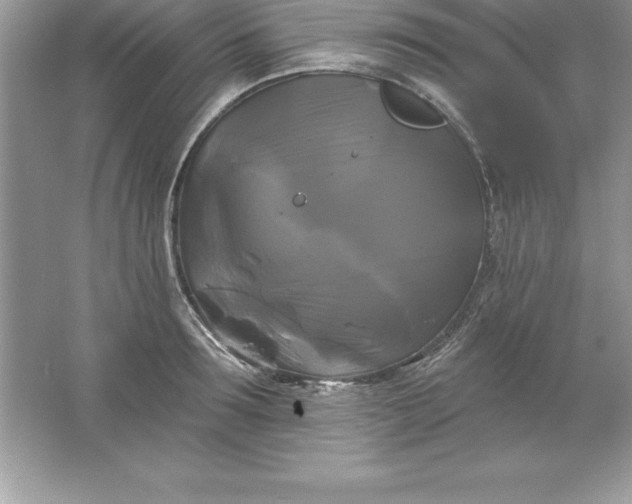 X0000061750899200512161713