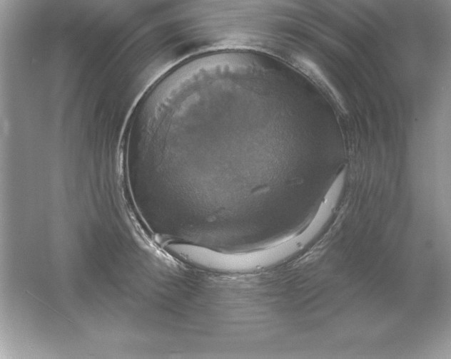 X0000061750900200512161713