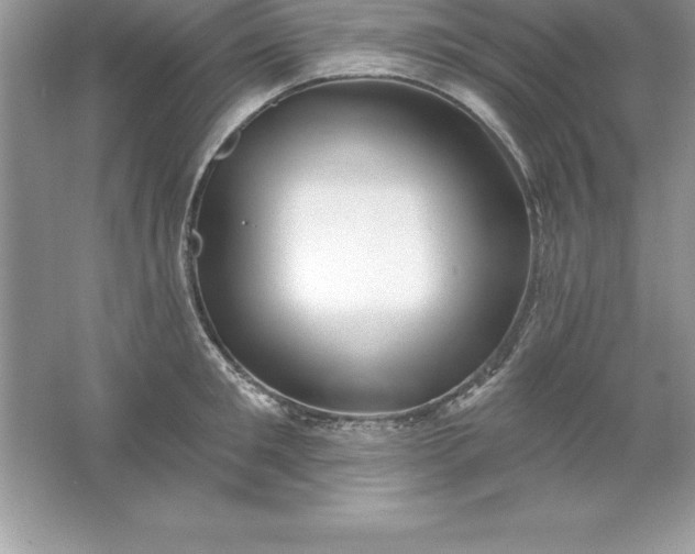 X0000061750901200512161713