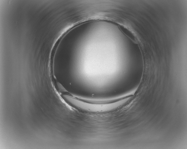 X0000061750902200512161713