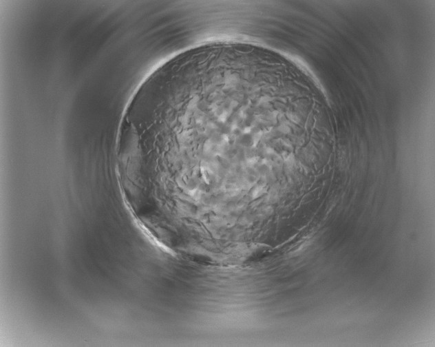 X0000061750903200512161713