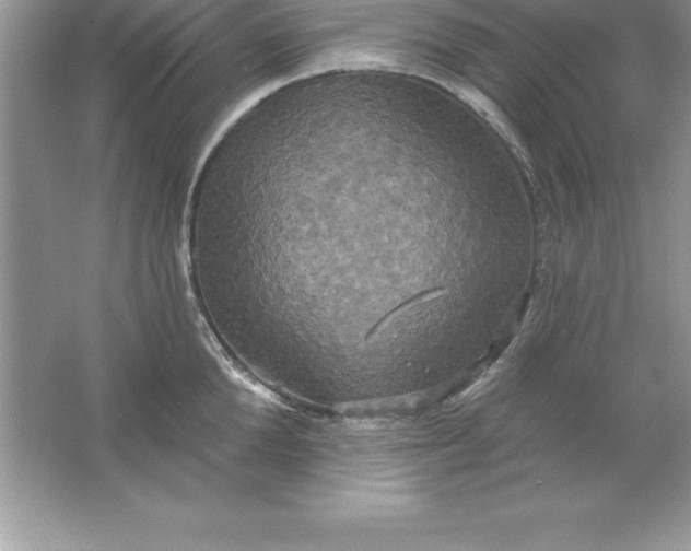 X0000061750904200512161713