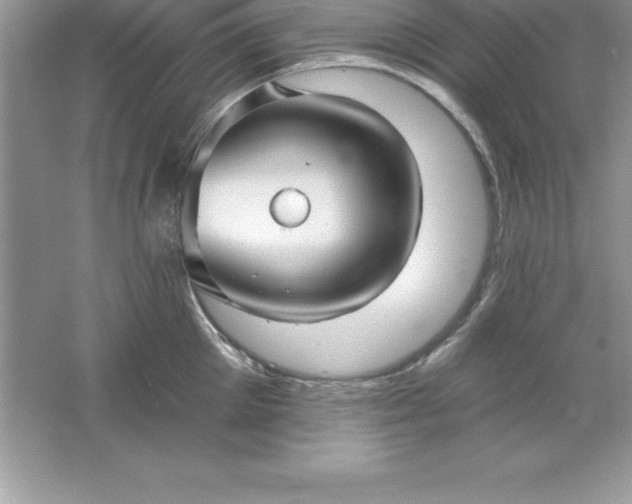 X0000061750905200512161713