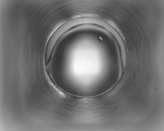 X0000061750906200512161713