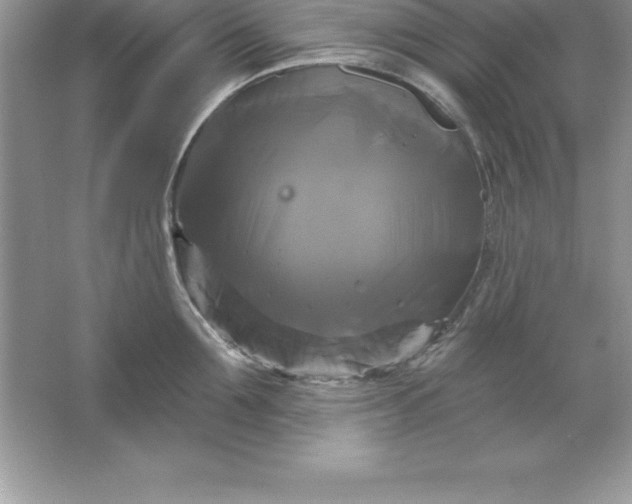 X0000061750907200512161713