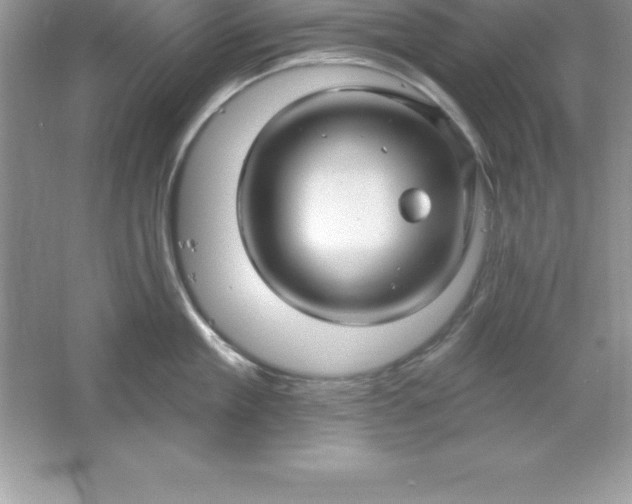 X0000061750909200512161713