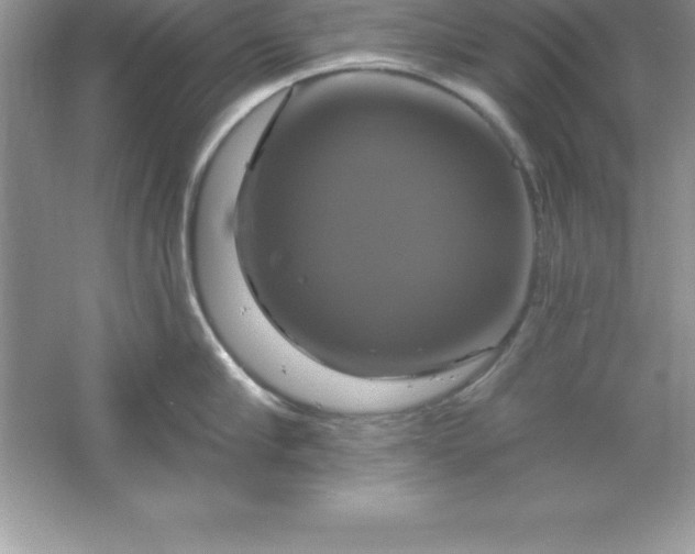 X0000061750910200512161713