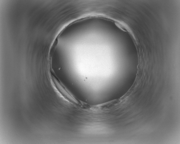 X0000061750911200512161713