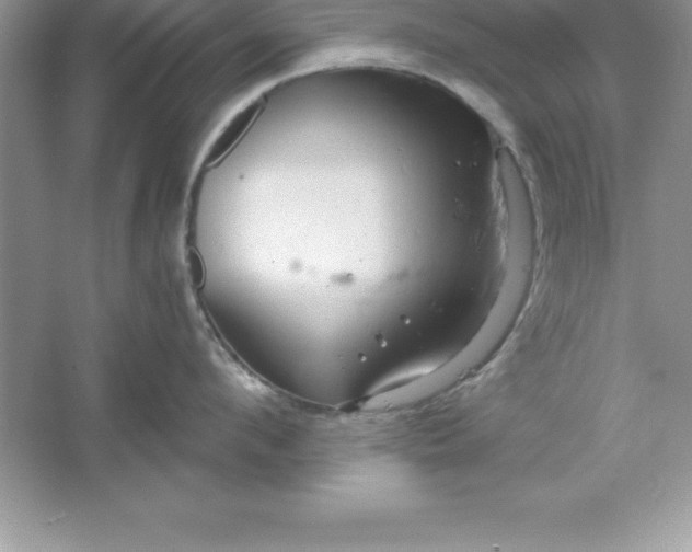 X0000061750912200512161713